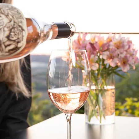 Bed & Breakfast Pecina Stroga - Bjelica Winery Sremski Karlovci